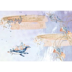 Tela de encuadernación 70x50cm 