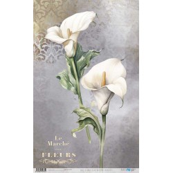 PAPEL DE ARROZ 54X33 CM