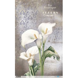 PAPEL DE ARROZ 54X33 CM