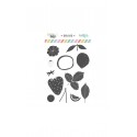 SET SELLO FRUTA SUMMER STORIES