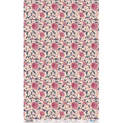 PAPEL DE ARROZ 54X33 CM